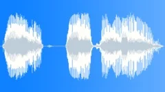 Voice comicalSound Effect