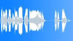 Voice comicalSound Effect