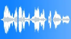 Voice comical Sound Effect