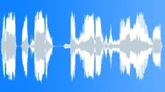 Voice comicalSound Effect