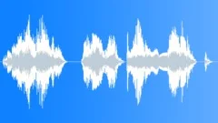 Voice comical Sound Effect