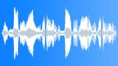 Voice comicalSound Effect