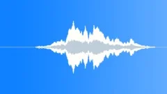 Voice drone Sound Effect