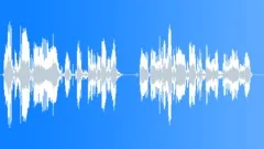 Voice - The next train - James British 02Sound Effect