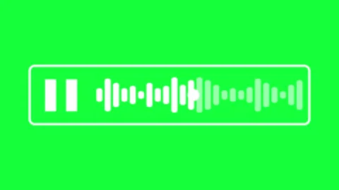Voice note icon animated voice message play voice note green screen croma 4.. Stock Footage 284805218