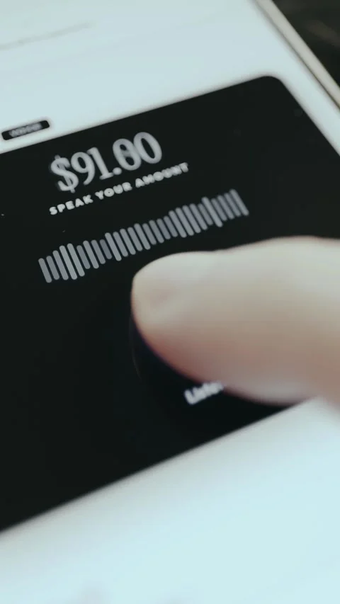 Voice Pay interface activated by tapping a Hold to Speak button Stock Footage 332911445