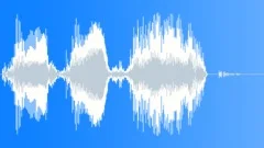 Voice phraseSound Effect