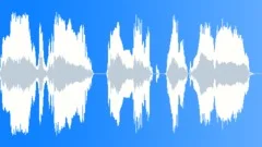 Voice phraseSound Effect