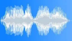 Voice phrase Sound Effect