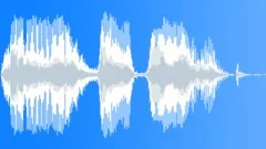 Voice phrase Sound Effect