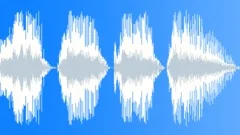 Voice phraseSound Effect