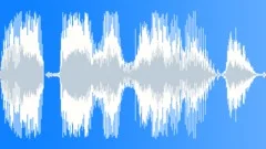 Voice phraseSound Effect