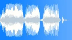 Voice phraseSound Effect