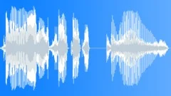 Voice phrase Sound Effect