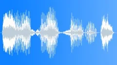 Voice phraseSound Effect
