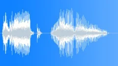 Voice phraseSound Effect