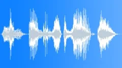Voice phrase Sound Effect