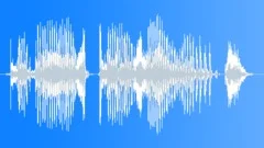 Voice phrase Sound Effect