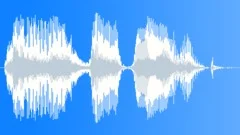 Voice phrase Sound Effect