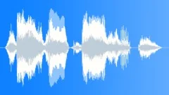 Voice phraseSound Effect