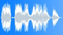 Voice phraseSound Effect