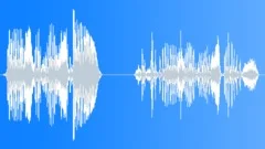 Voice phraseSound Effect