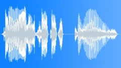 Voice phrase Sound Effect