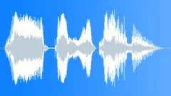 Voice phrase Sound Effect