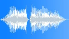 Voice phrase Sound Effect