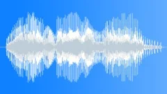 Voice phraseSound Effect