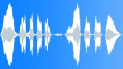 Voice,Girl,Toddler,Laugh,Forced,Med 4 Sound Effect