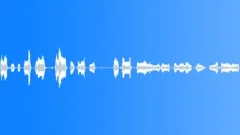 Voice,Male,Screams,FranticSound Effect