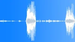 Voices Boy Scouts Kids Troop Meeting Boys Announcements Series x2 Cheers ReactiSound Effect
