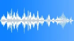 Voices Crowd Exterior Vietnamese Laughs Variable Energetic Male Guffaws Sound Effect