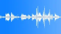 Voices Crowd Exterior Vietnamese Male Sing Native Song Excited Body HSound Effect