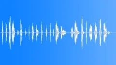 Voices Crowd Fighting Vocals Female Single Angry Battle Calls Forceful Roars Hu Sound Effect