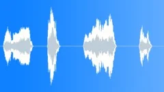 Voices Crowd Fighting Vocals Female Single Desperate Yells Close Up Interior A1 Sound Effect