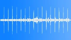 Voices of Dawn LoopStock Music