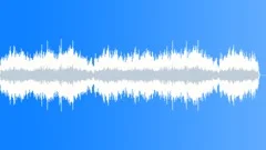 Voices of Notre Dame Stock Music