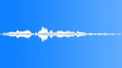 Voices Specific Crowd Male Female Comments Surprised Amazed Says Oh My God ThatSound Effect