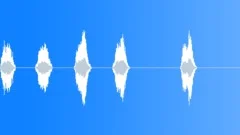 Voices Specific Crowd Small Group Say Amen Series x5 Various Performances Long Sound Effect
