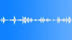 Voices Specific Guarani Indian Speaking Guarani Language Male Single Voice Whis Sound Effect