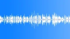 Voices Specific Guarani Indian Speaking Guarani Language Male Single Voice Inte Sound Effect