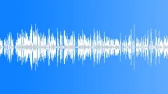 Voices Specific Guarani Indian Speaking Spanish Language Male Single Voice Inte Sound Effect