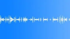 Voices Specific Sa Pa Vietnam School Crowd Kids 4 Years Old Classroo Sound Effect