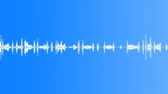 Voices Specific Sa Pa Vietnam School Crowd Kids 4 Years Old Classroo Sound Effect