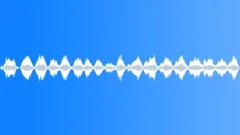 Voices Specific Sa Pa Vietnam School Crowd Kids 4 Years Old Classroo Sound Effect