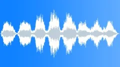 Voices Specific Sa Pa Vietnam School Crowd Kids 4 Years Old ClassrooSound Effect