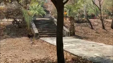 Volando arriba 動画素材 159727049