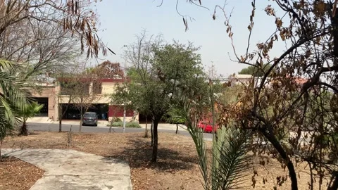 Volando hacia arriba 動画素材 159726729